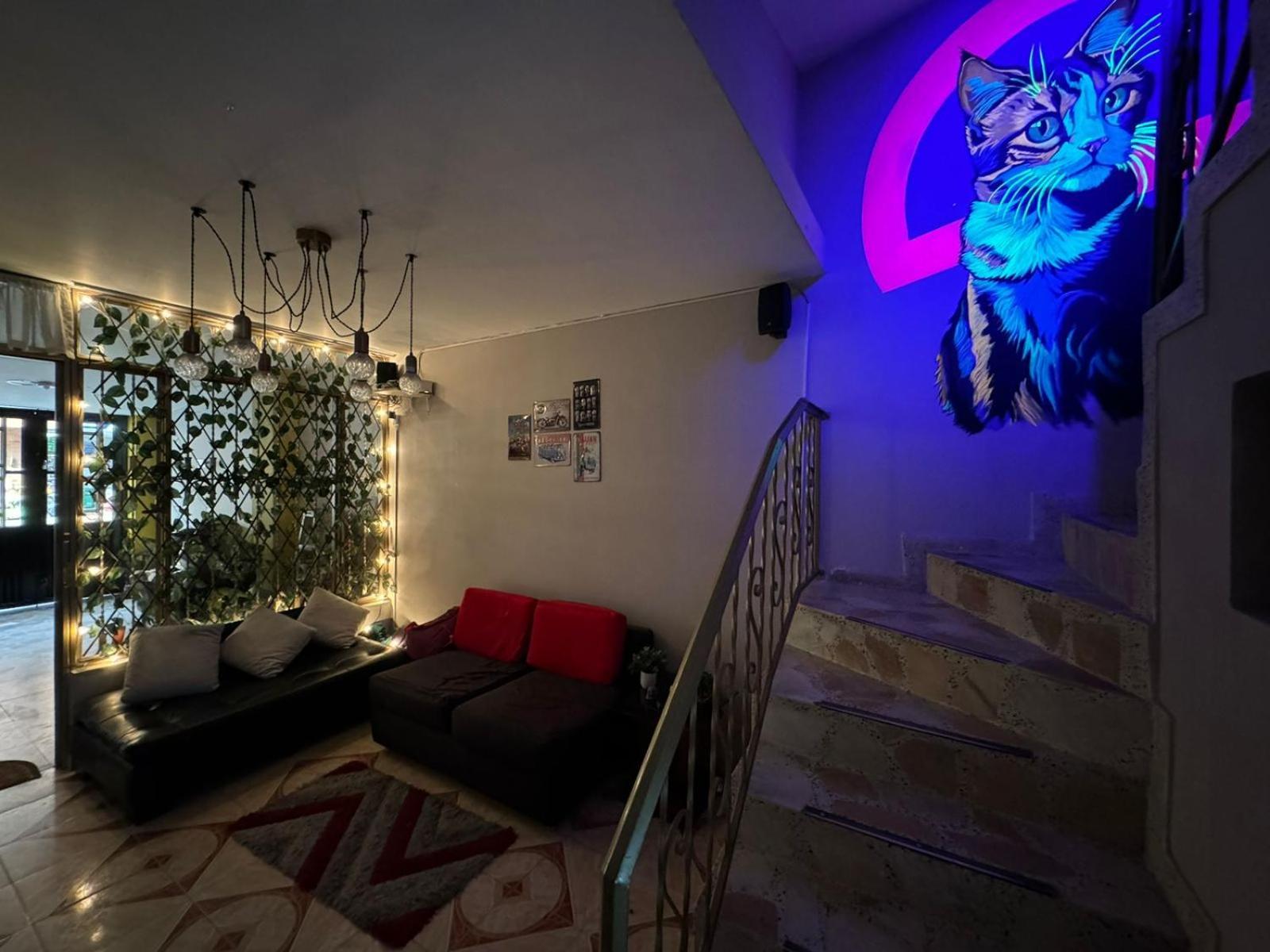 Gato Neon Hostel - Bogota, Bogota